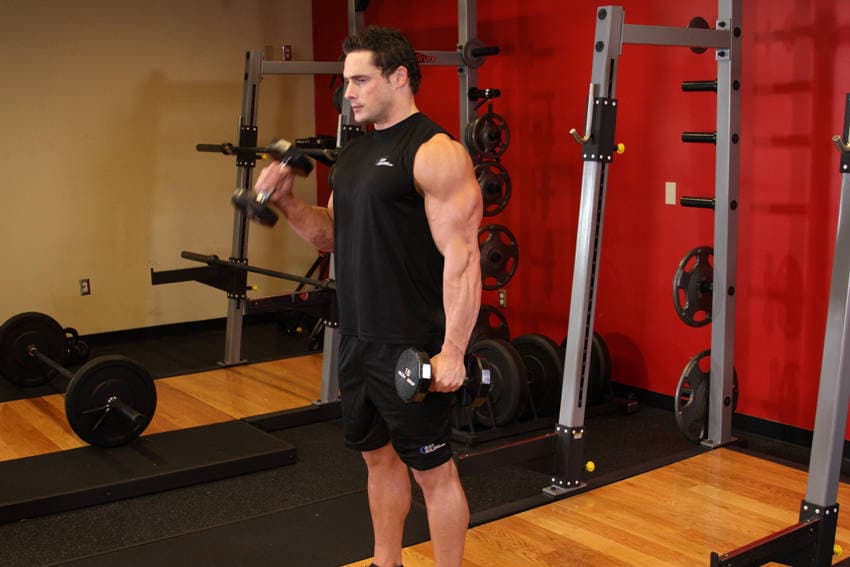 Alternate Hammer Curl — starting position