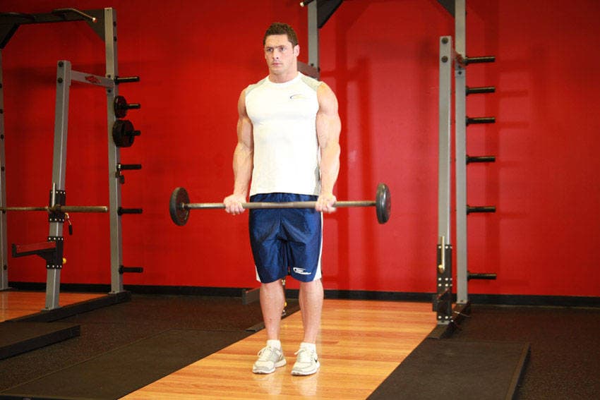 Barbell Curl — starting position