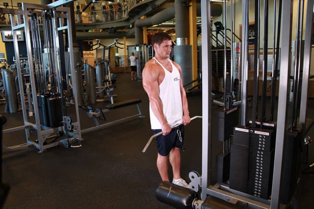 Cable Shrugs