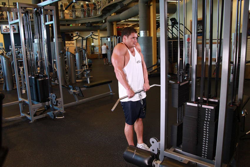 Cable Shrugs — end position