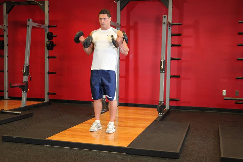 Dumbbell Bicep Curl — end position