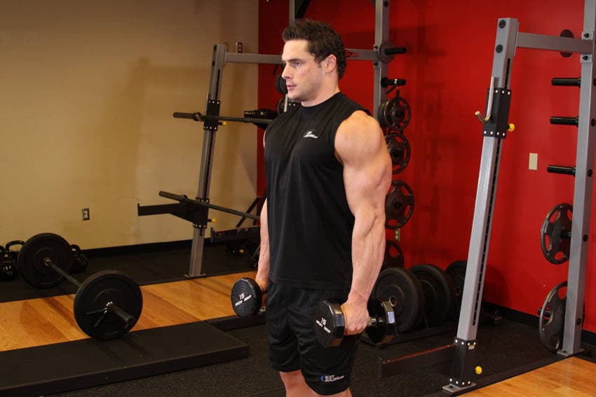 Dumbbell Raise — starting position