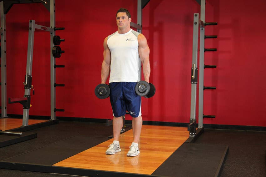 Dumbbell Rear Lunge — starting position