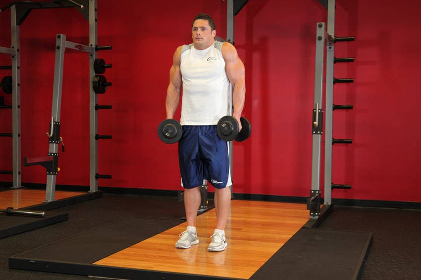 Dumbbell Shrug — end position