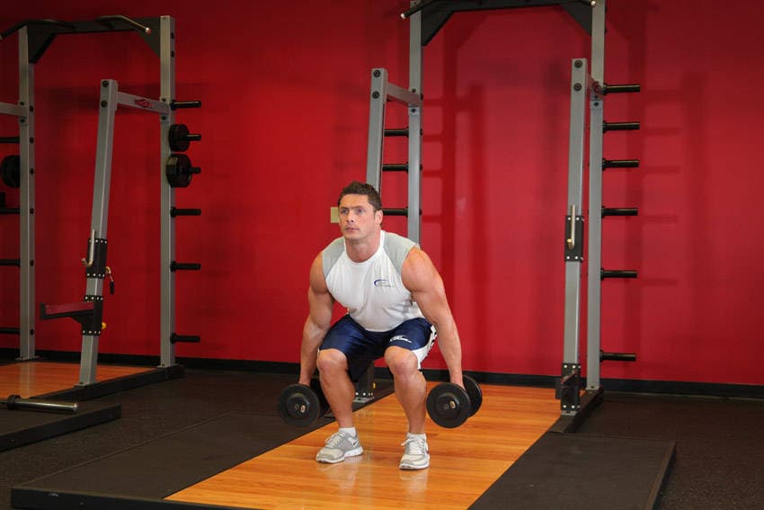 Dumbbell Squat — end position