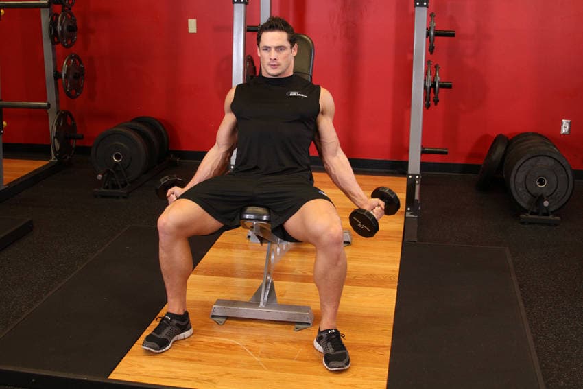 Incline Inner Biceps Curl — starting position
