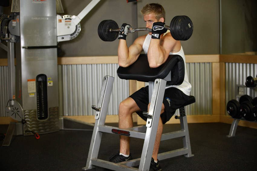 Preacher Curl — end position