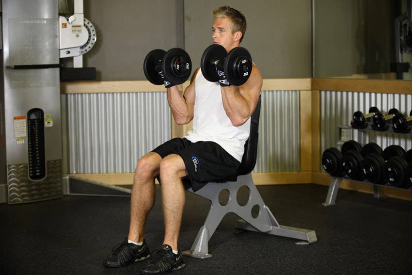 Seated Dumbbell Curl — end position