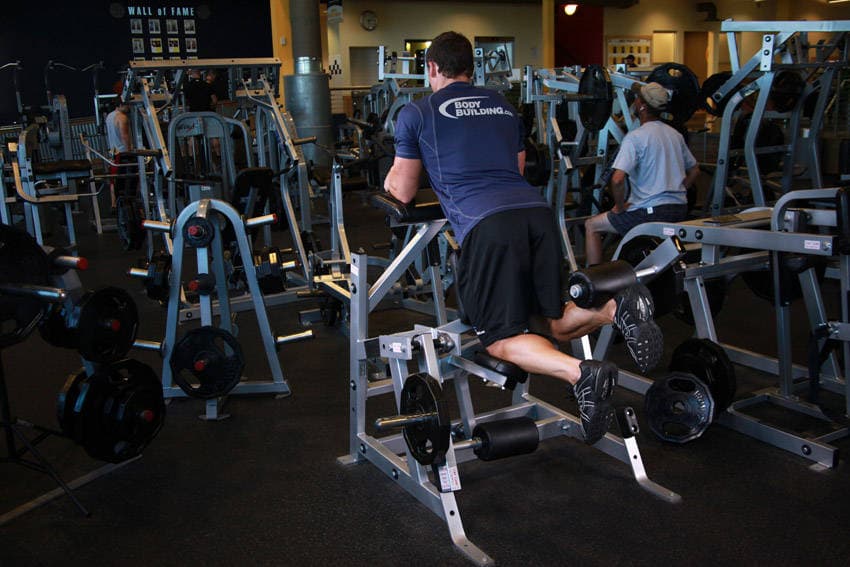Standing Leg Curl — end position