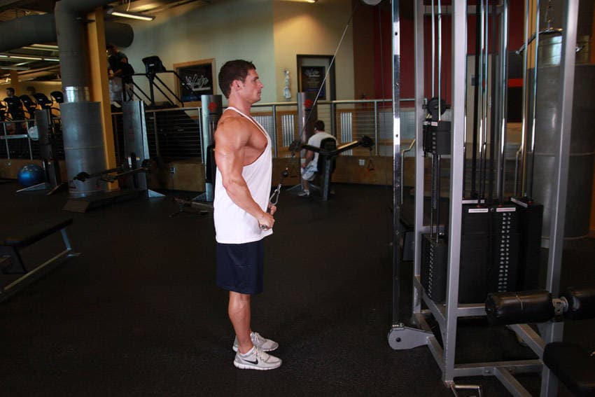 Straight-Arm Pulldown — end position