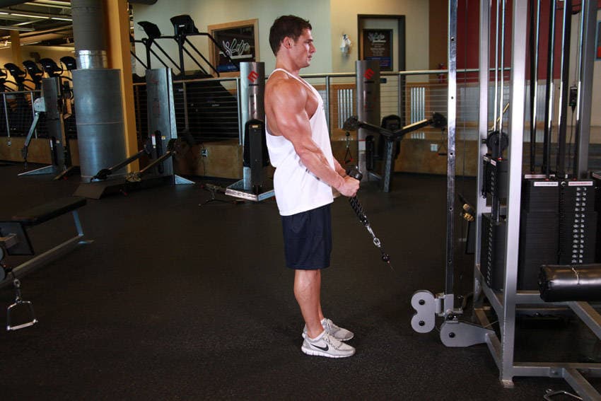 Cable Hammer Curls - Rope Attachment — starting position