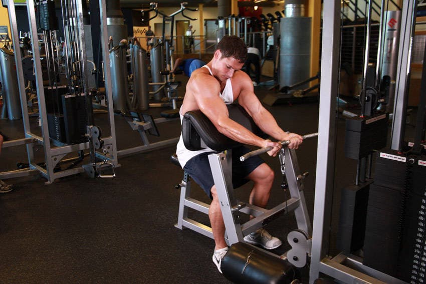 Cable Preacher Curl — starting position