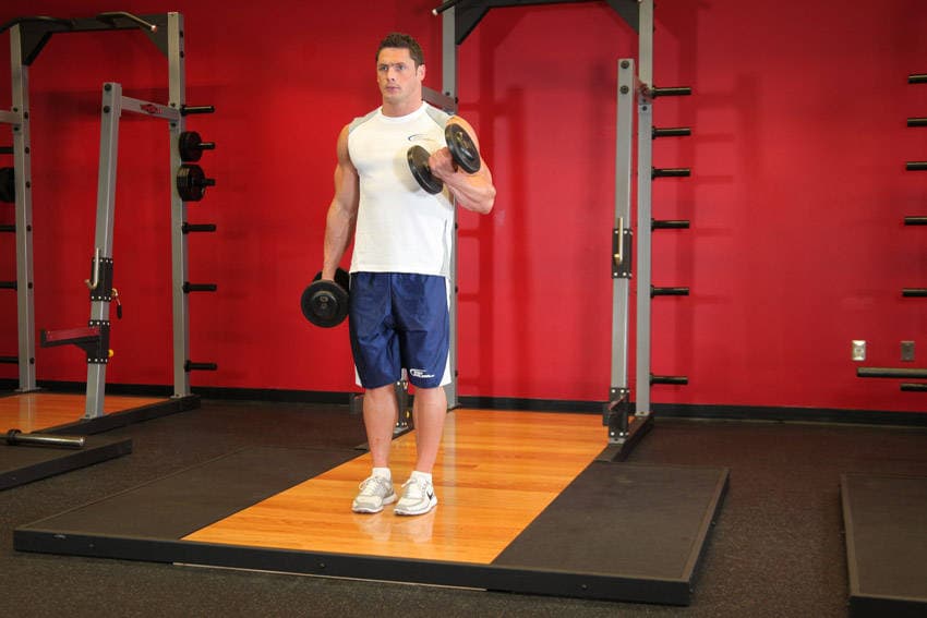 Dumbbell Alternate Bicep Curl — end position