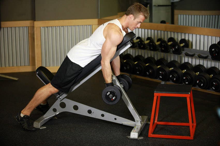 Dumbbell Prone Incline Curl — end position