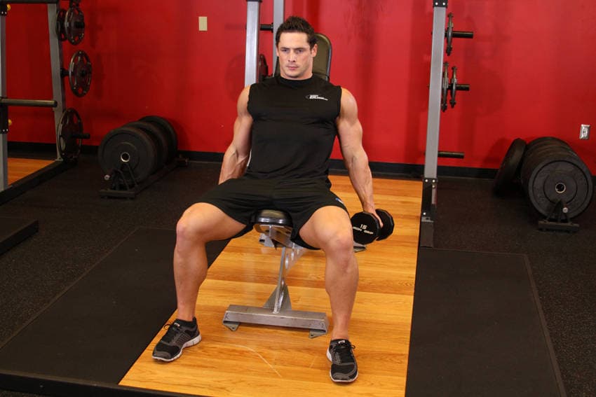 Flexor Incline Dumbbell Curls — starting position