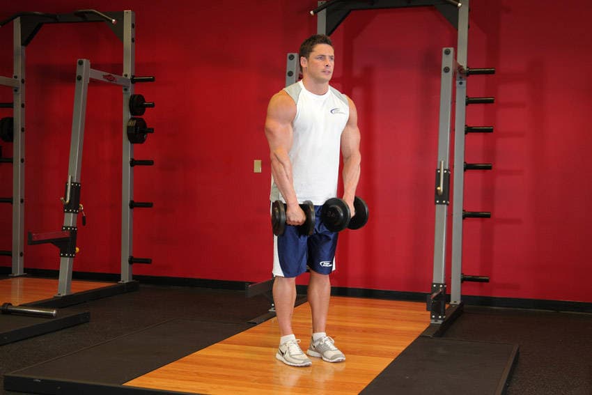 Front Dumbbell Raise — starting position