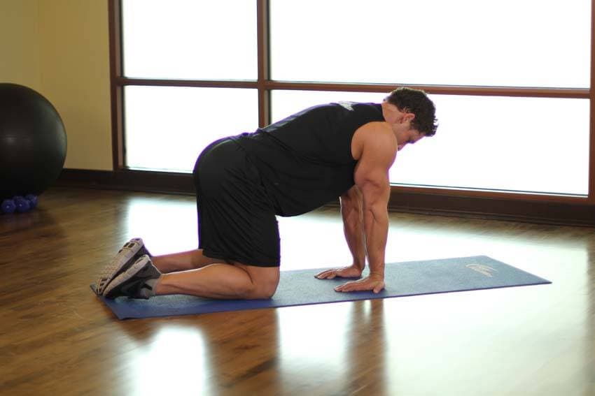 Kneeling Forearm Stretch — starting position