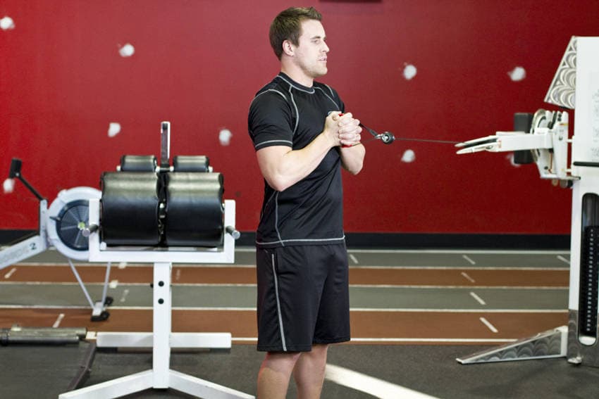 Pallof Press With Rotation — starting position