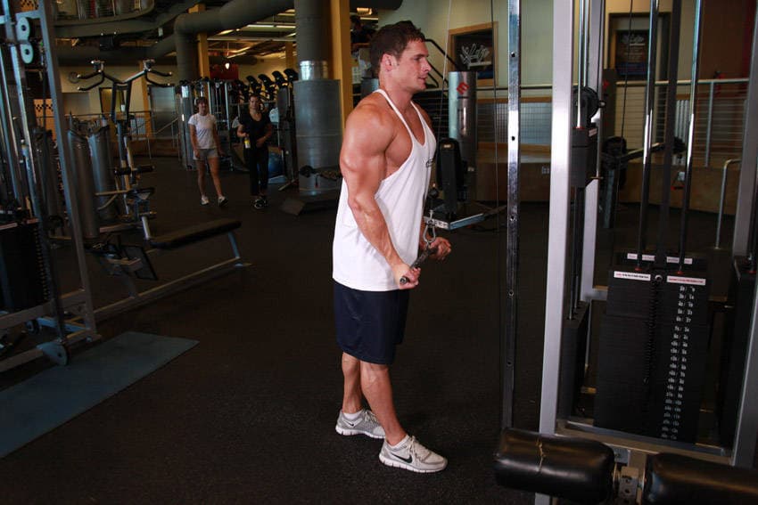 Reverse Grip Triceps Pushdown — end position