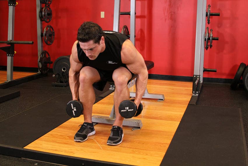 Seated Bent-Over Rear Delt Raise — starting position