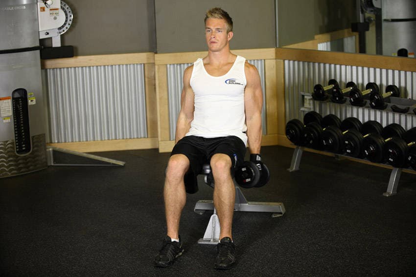 Seated Dumbbell Inner Biceps Curl — starting position
