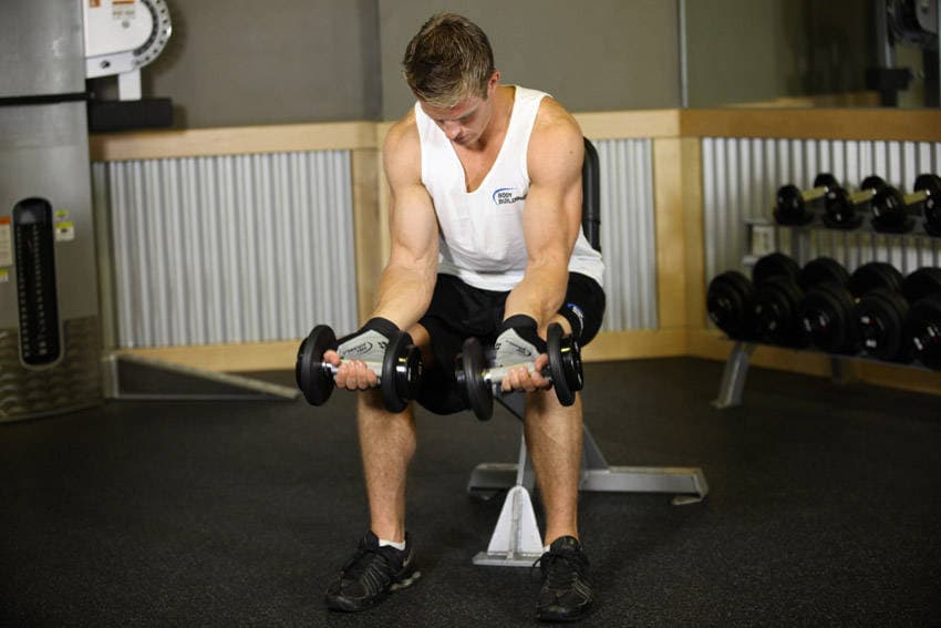 Seated Dumbbell Palms-Up Wrist Curl — starting position
