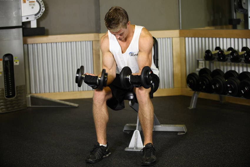 Seated Dumbbell Palms-Up Wrist Curl — end position