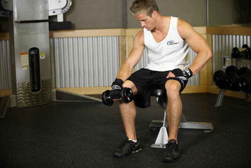 Seated One-Arm Dumbbell Palms-Down Wrist Curl — starting position