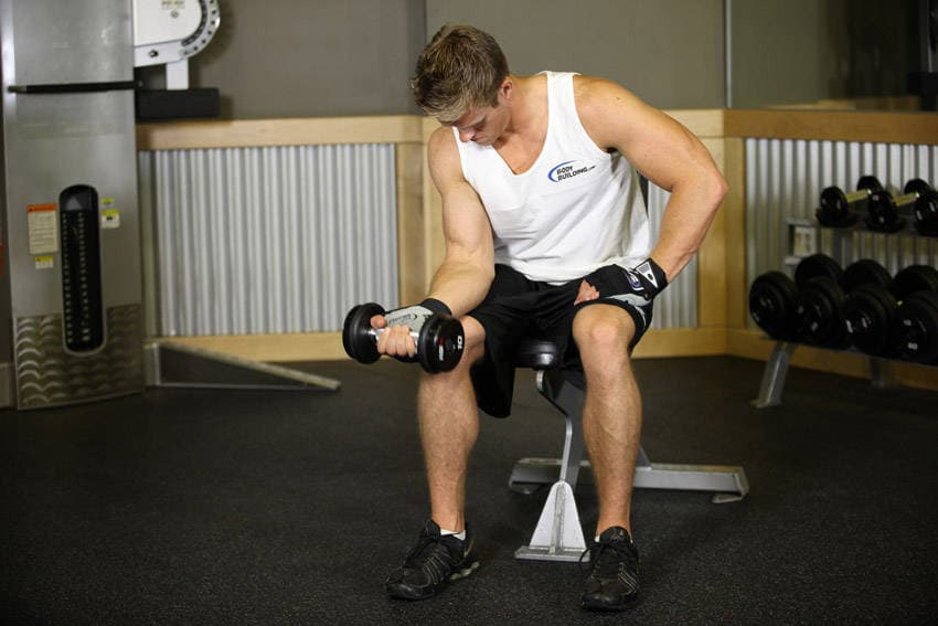 Seated One-Arm Dumbbell Palms-Up Wrist Curl — starting position
