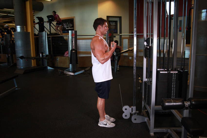 Standing Biceps Cable Curl — end position