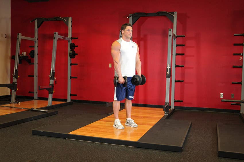 Standing Dumbbell Reverse Curl — starting position