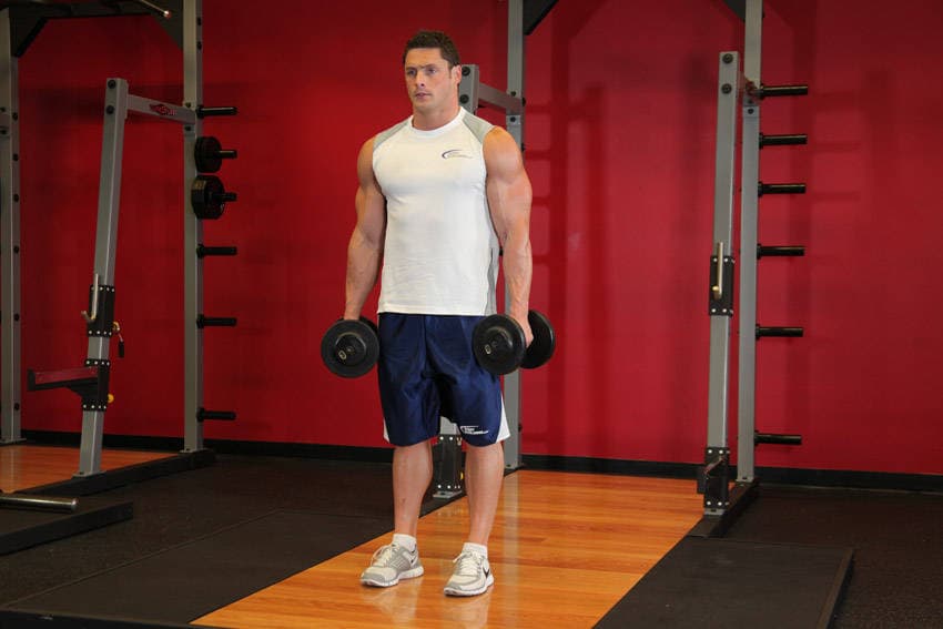 Standing Inner-Biceps Curl — starting position