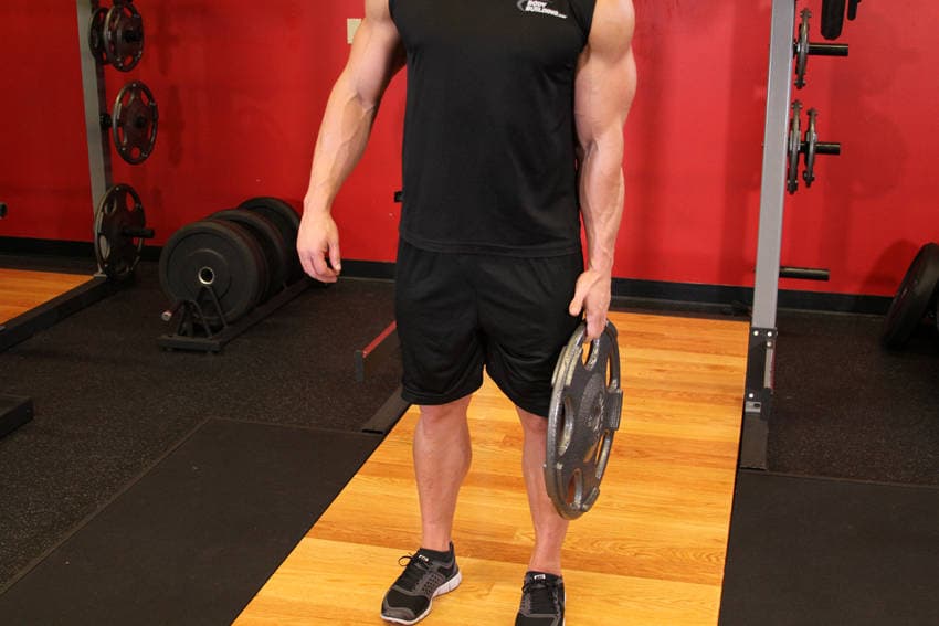Standing Olympic Plate Hand Squeeze — starting position