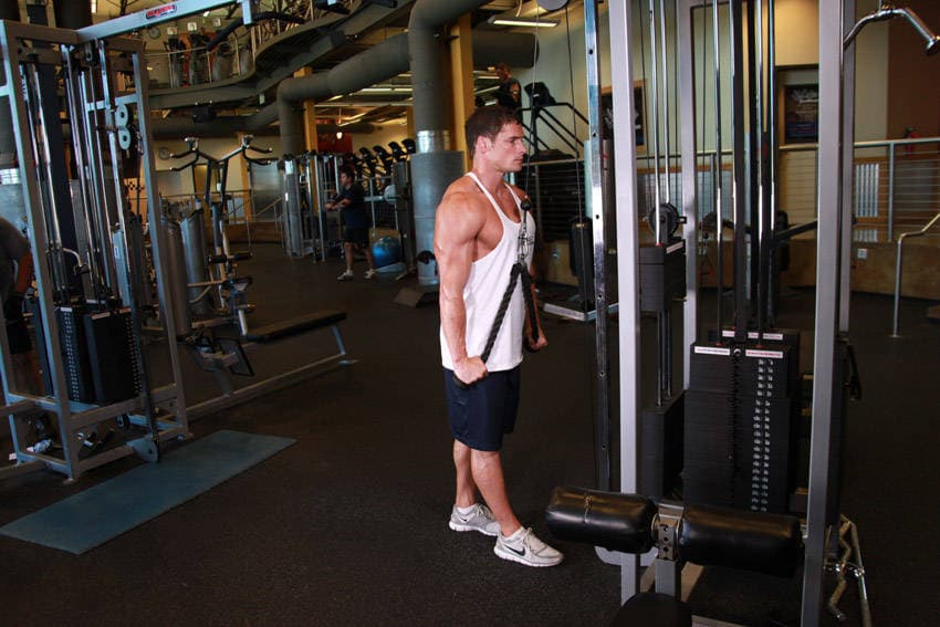 Triceps Pushdown - Rope Attachment — end position