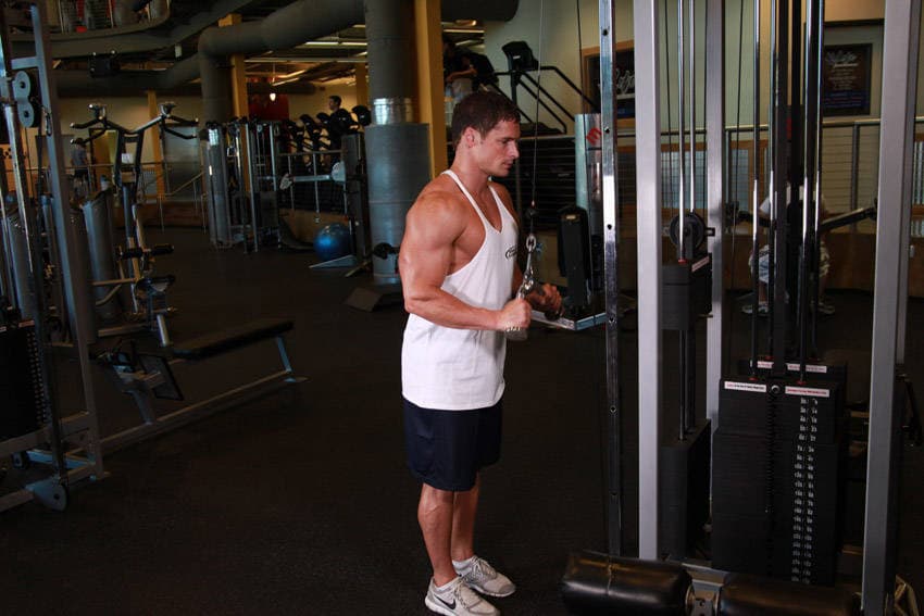 Triceps Pushdown - V-Bar Attachment — starting position