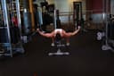 Cable Fly (High to Low)